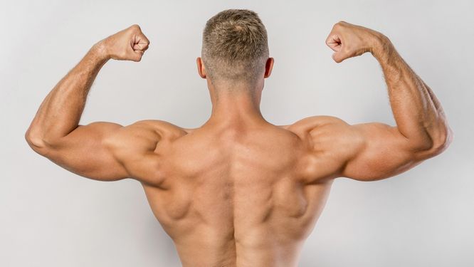 Discover Safe Steroid Sources in the UK: Your Guide to Legal and Reliable Options